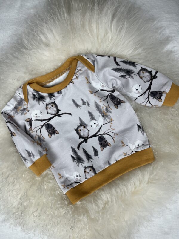 Sweater «Waldfreunde» Grösse 68