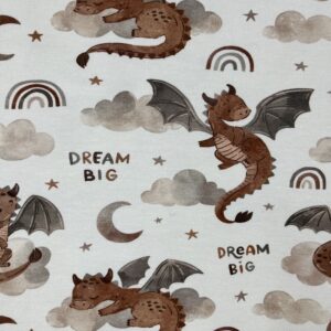 Jersey Motivstoffe «Dream Big»
