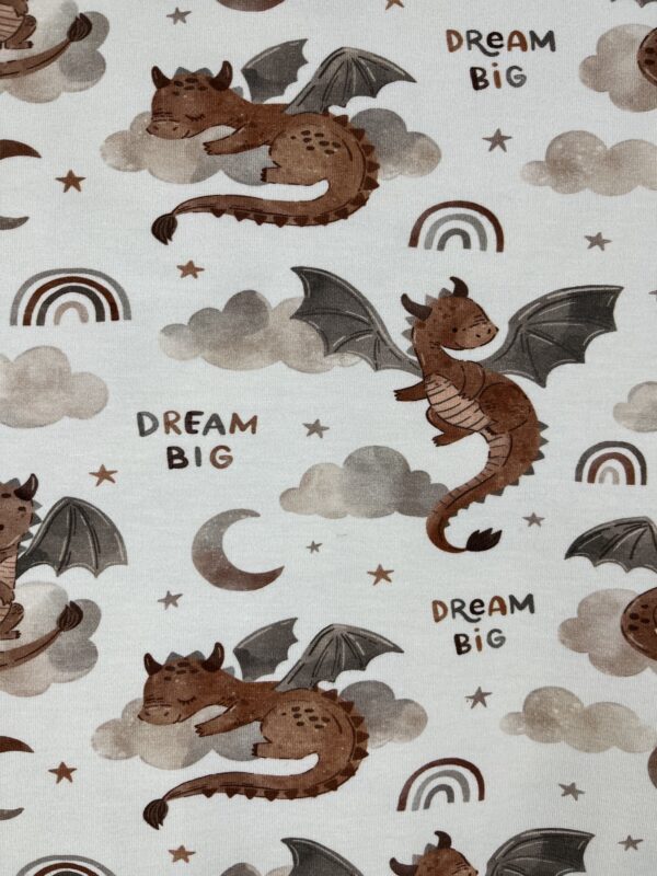 Jersey Motivstoffe «Dream Big»
