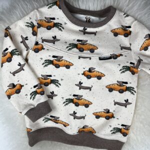 Pullover «Pullover mit Teilung - Dackel Karotten Express» Grösse 98