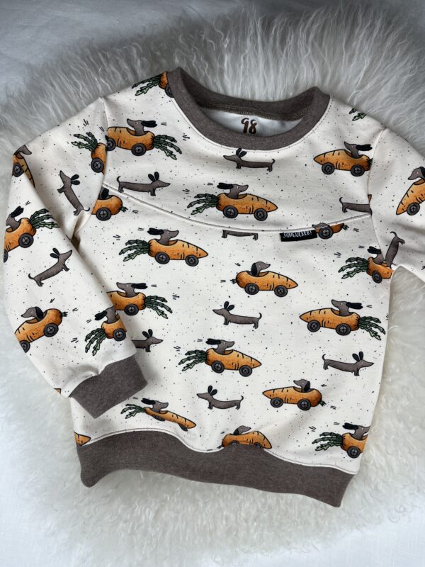 Pullover «Pullover mit Teilung - Dackel Karotten Express» Grösse 98