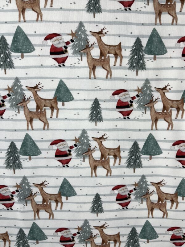 Jersey Motivstoffe «Lieber Santa»