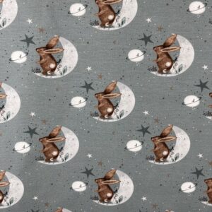 Jersey Motivstoffe «Mond-Hase»
