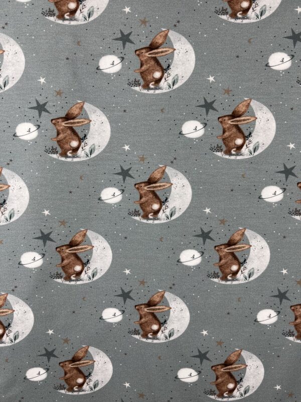 Jersey Motivstoffe «Mond-Hase»
