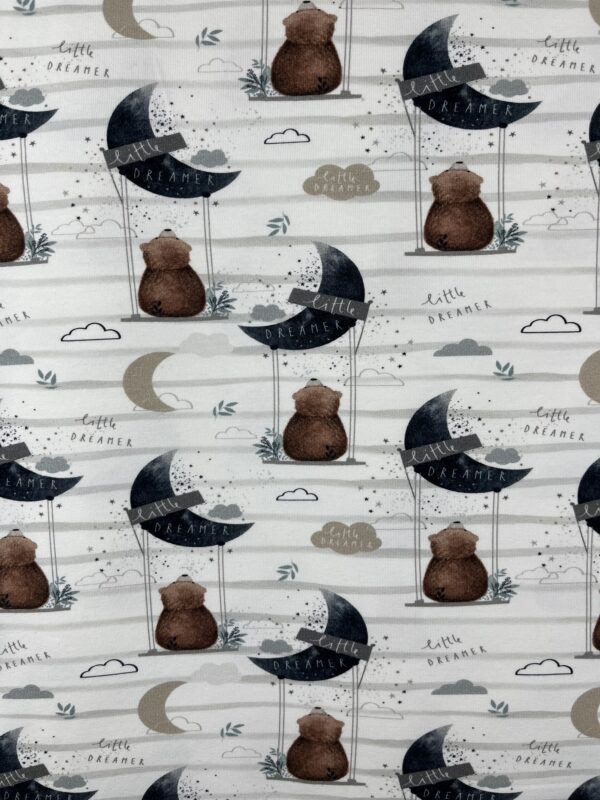Jersey Motivstoffe «little Dreamer»